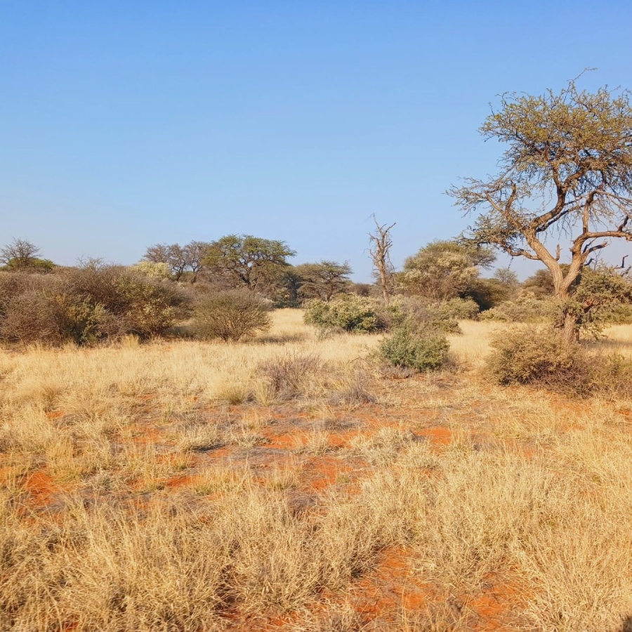 Commercial Property for Sale in Barkly West Rural Northern Cape